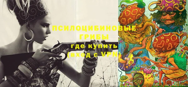 гидропоника Няндома