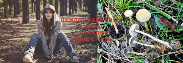 гидропоника Няндома