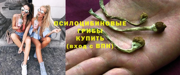 дживик Нягань