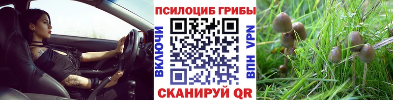 даркнет телеграм Мостовской Галлюциногенные грибы мухоморы